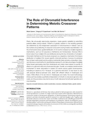 The Role of Chromatid Interference in Determining Meiotic Crossover Patterns thumbnail