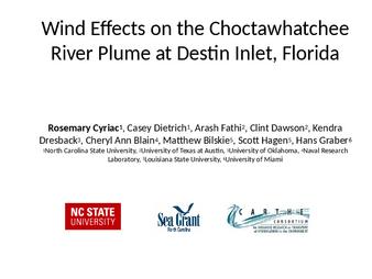 Wind Effects on the Choctawhatchee River Plume at Destin Inlet, Florida