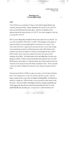 B200 and B400 2002 Final Report and Notes thumbnail