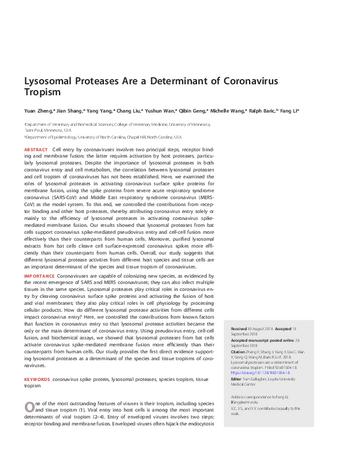 Lysosomal Proteases Are a Determinant of Coronavirus Tropism thumbnail