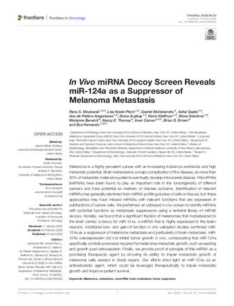 In Vivo miRNA Decoy Screen Reveals miR-124a as a Suppressor of Melanoma Metastasis thumbnail