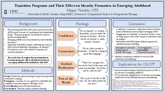 Transition Programs and Their Effect on Identity Formation in Emerging Adulthood thumbnail