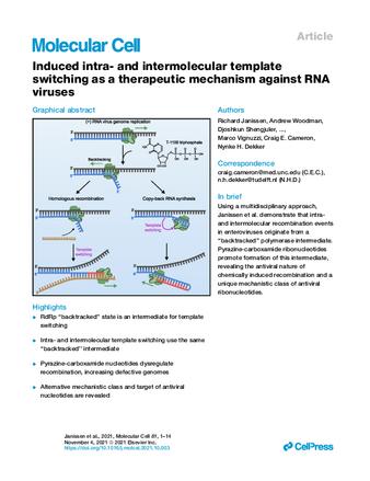 Induced intra- and intermolecular template switching as a therapeutic mechanism against RNA viruses thumbnail