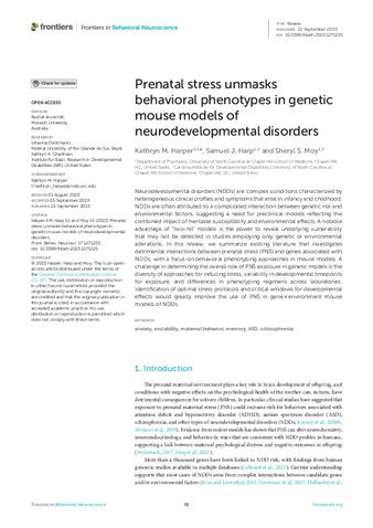 Prenatal stress unmasks behavioral phenotypes in genetic mouse models of neurodevelopmental disorders thumbnail