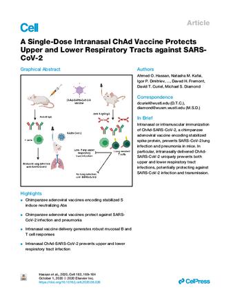A Single-Dose Intranasal ChAd Vaccine Protects Upper and Lower Respiratory Tracts against SARS-CoV-2 thumbnail