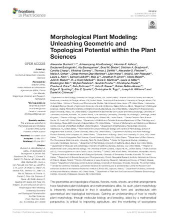 Morphological Plant Modeling: Unleashing Geometric and Topological Potential within the Plant Sciences thumbnail