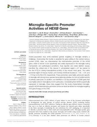 Microglia-Specific Promoter Activities of HEXB Gene thumbnail