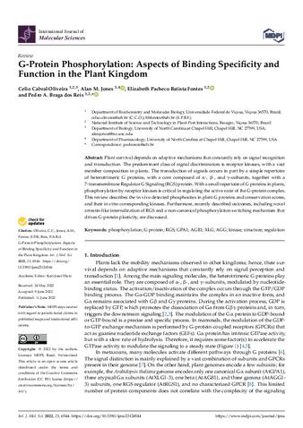 G-Protein Phosphorylation: Aspects of Binding Specificity and Function in the Plant Kingdom thumbnail