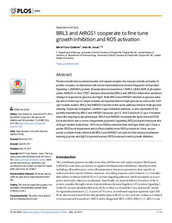 BRL3 and AtRGS1 cooperate to fine tune growth inhibition and ROS activation thumbnail