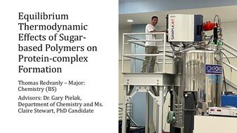 Equilibrium Thermodynamic Effects of Sugar-based Polymers on Protein-complex Formation