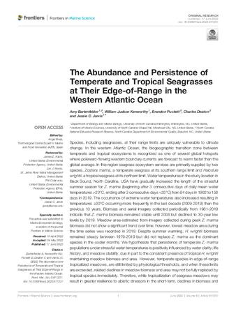 The Abundance and Persistence of Temperate and Tropical Seagrasses at Their Edge-of-Range in the Western Atlantic Ocean thumbnail