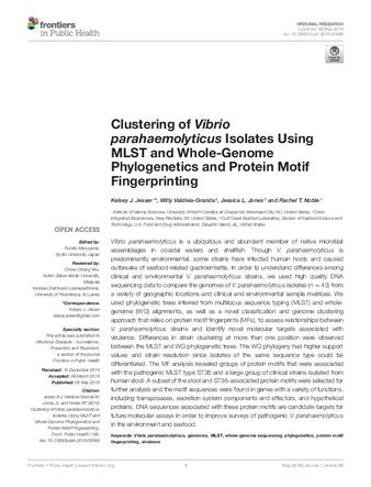 Clustering of Vibrio parahaemolyticus isolates using MLST and whole-genome phylogenetics and protein motif fingerprinting thumbnail