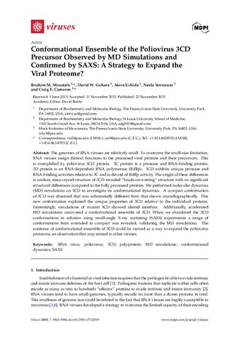 Conformational ensemble of the poliovirus 3CD precursor observed by MD simulations and confirmed by SAXS: A strategy to expand the viral proteome?