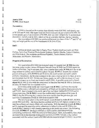 B3900 Final Report and Notes 2006