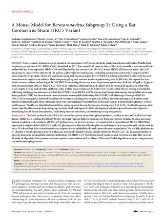 A Mouse Model for Betacoronavirus Subgroup 2c Using a Bat Coronavirus Strain HKU5 Variant thumbnail