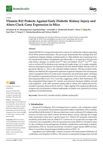Vitamin B12 Protects Against Early Diabetic Kidney Injury and Alters Clock Gene Expression in Mice thumbnail