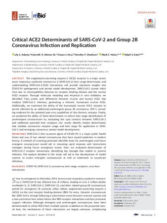 Critical ace2 determinants of sars-cov-2 and group 2b coronavirus infection and replication thumbnail
