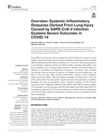 Overview: Systemic Inflammatory Response Derived From Lung Injury Caused by SARS-CoV-2 Infection Explains Severe Outcomes in COVID-19 thumbnail