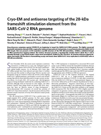 Cryo-EM and antisense targeting of the 28-kDa frameshift stimulation element from the SARS-CoV-2 RNA genome thumbnail