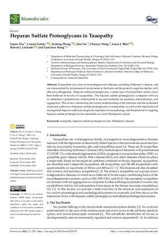 Heparan Sulfate Proteoglycans in Tauopathy thumbnail