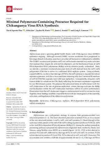 Minimal Polymerase-Containing Precursor Required for Chikungunya Virus RNA Synthesis thumbnail